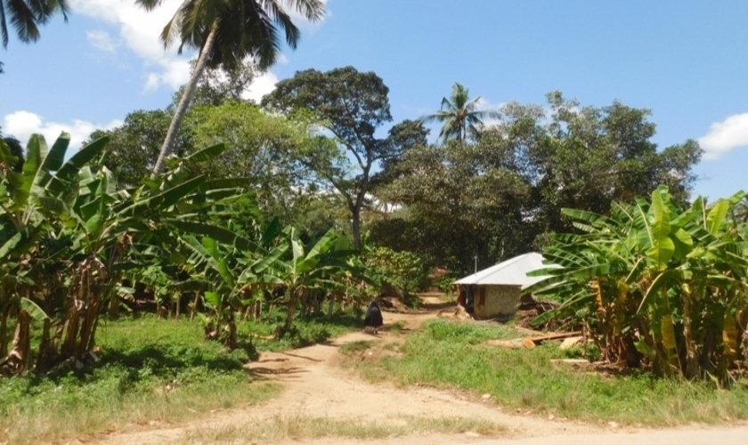 Discover The Untold History Of Bungi Village In Zanzibar