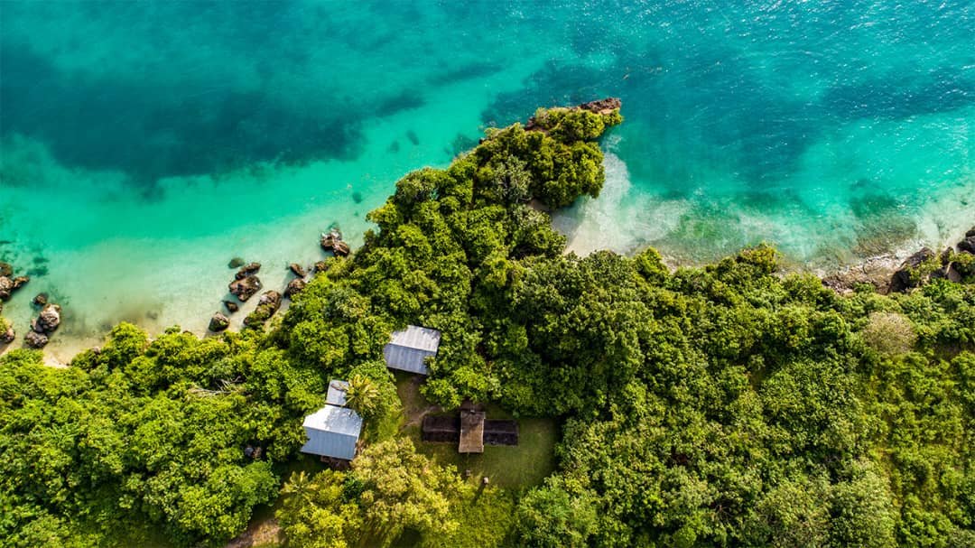Discover Zanzibar’s Seaweed Tour & Combine It with Jozani Forest