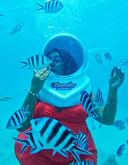 Underwater Seawalk Experience